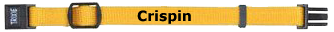 Crispin